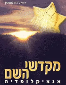 עטיפת הספר מקדשי השם  - אנציקלופדיה מאת יחיאל גרנשטין