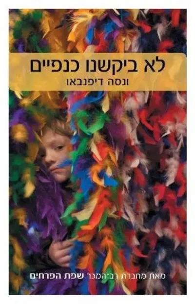 לא ביקשנו כנפיים
