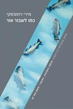 עטיפת הספר כמו לשבור אור מאת מירי רוזובסקי