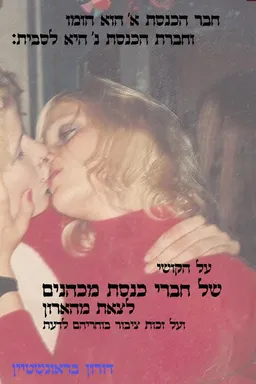 עטיפת הספר חבר הכנסת א' הוא הומו וחברת הכנסת נ' היא לסבית מאת דורון בראונשטיין