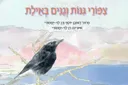 צפורי גנות וגנים באילת