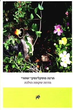 מדוזה שקופה הולכת
