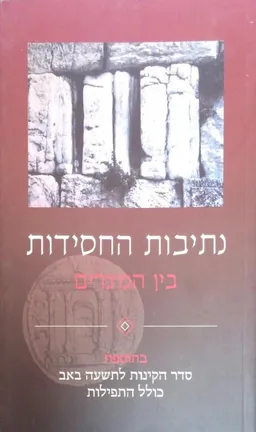נתיבות החסידות: בין המצרים