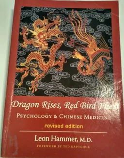 Dragon rises, red bird flies