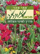 מכאב לצמיחה: מדריך לשינוי והצלחה