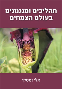 עטיפת תהליכים ומנגנונים בעולם הצמחים