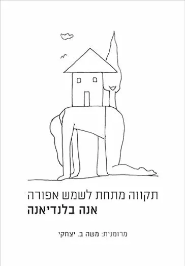 תקווה מתחת לשמש אפורה : מבחר שירים (2010-1964)