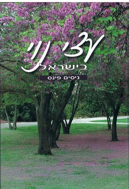 עטיפת הספר עצי נוי בישראל מאת ניסים פינס