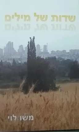 שדות של מילים