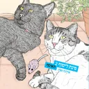 פינת ליטוף 2 - האוסף