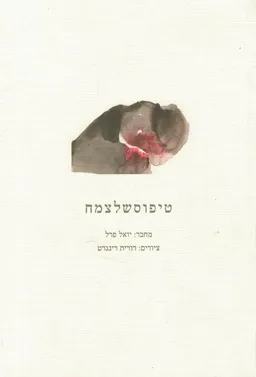 טיפוסשלצמח