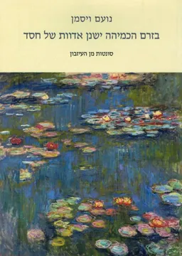 בזרם הכמיהה ישנן אדוות של חסד