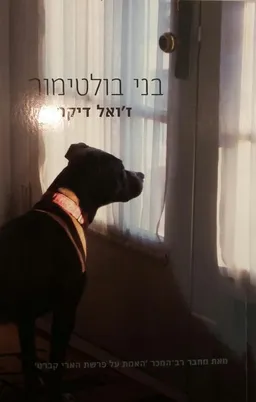 בני בולטימור