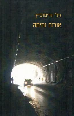אורות נחיתה