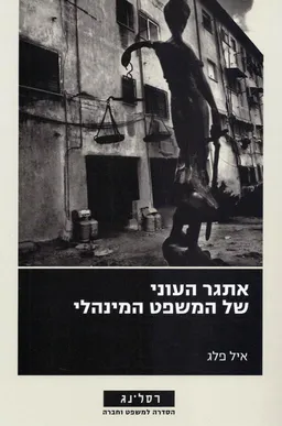 אתגר העוני של המשפט המינהלי