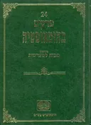 24 פרקים בהומאופטיה