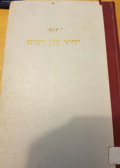 יחיד בין רבים : אידיליה מחיי היהודים בכפר פולני