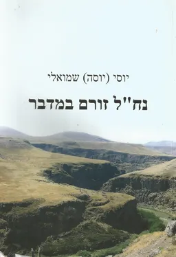 נח"ל זורם במדבר
