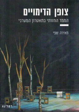 עטיפת הספר צופן הדימויים מאת מאירה שפי
