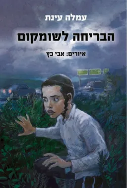 עטיפת הספר הבריחה לשומקום מאת עמלה עינת
