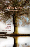 מיינדפולנס