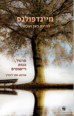 מיינדפולנס