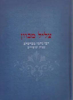 עטיפת צליל מכוון