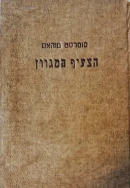 הצעיף המגוון