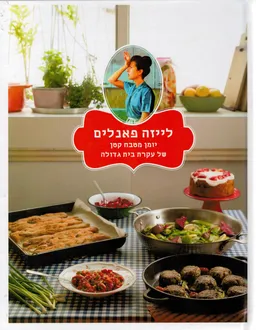 לייזה פאנלים 