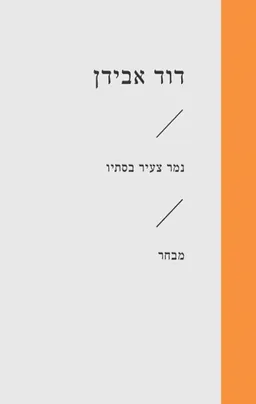 עטיפת הספר נמר צעיר בסתיו מאת דוד אבידן