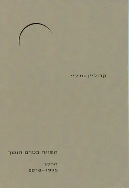 הפוגה בטרם חושך