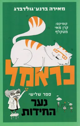נער החידות