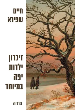 עטיפת הספר זיכרון ילדות יפה במיוחד - פורמט קטן מאת חיים שפירא