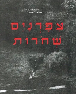 ציפורניים שחורות