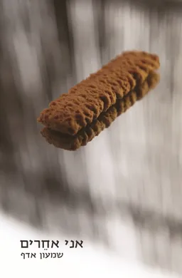 עטיפת הספר אני אחרים מאת שמעון אדף