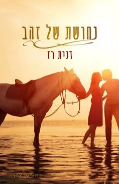עטיפת הספר נחושת של זהב מאת דנית רז