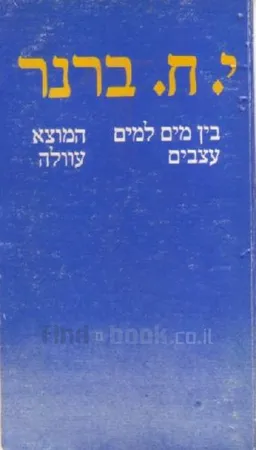 עטיפת הספר בין מים למים | עצבים | המוצא | עוולה מאת יוסף חיים ברנר