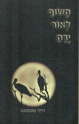 חשוף לאור ירח