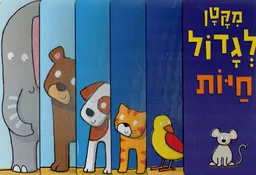 מקטן לגדול חיות
