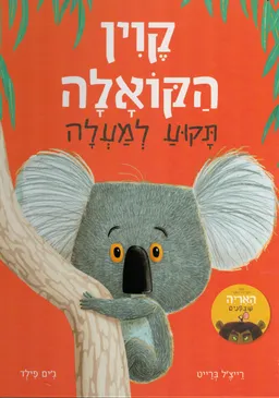 קוין הקואלה תקוע למעלה - קרטון