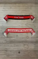 הפועל באר שבע: ביוגרפיה