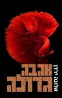 אהבה גדולה