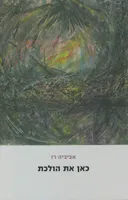 כאן את הולכת