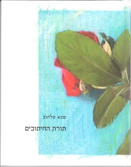 תורת החיתוכים
