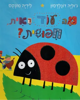 עטיפת הספר מה עוד ראית, חיפושית? מאת ג'וליה דונלדסון