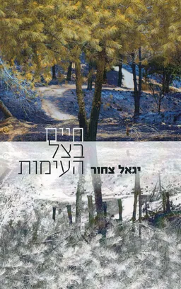 חיים בצל העימות