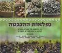 נפלאות ההנבטה