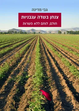 צנחן בשדה עגבניות
