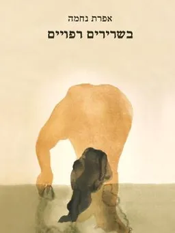 עטיפת הספר בשרירים רפויים מאת אפרת נחמה