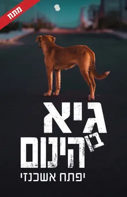 גיא בן-הינום